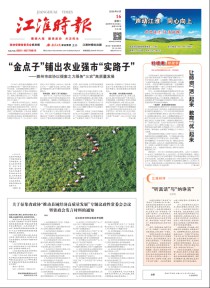 江淮时报